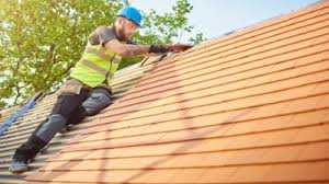 Best Roof Moss and Algae Removal  in Bolivar, MO